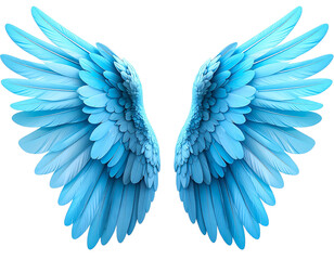 Obraz premium Blue wings angel wings feather wings fantasy art on transparent background
