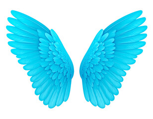 Obraz premium Angel wings blue wings feather wings isolated on transparent background