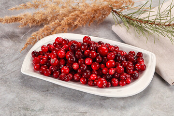 Ripe sweet sour cranberry heap