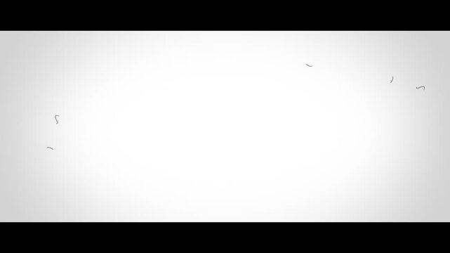 Cinemascope size (2.35:1) 1 Simple film noise (4K)