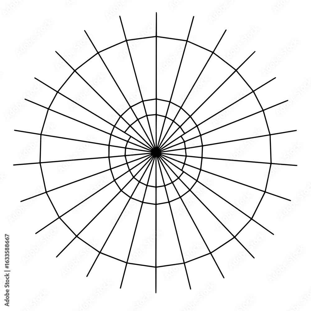 Poster concentric graphic: a detailed, radial graphic comprised of concentric circles and radiating lines, 