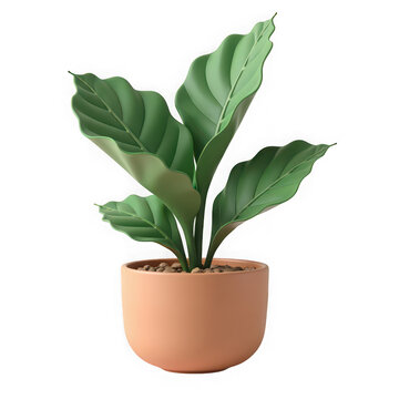 A green houseplant in a terracotta pot isolated on transparent background