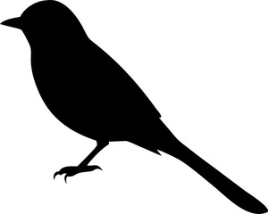 Black silhouette of an acadian flycatcher bird in flight