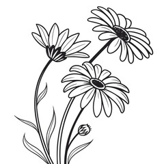 Original name(s): minimalist-line-art-illustration-of-daisies-flower.svg, minimalist-line-art-illustration-of-daisies-flower (1).svg
