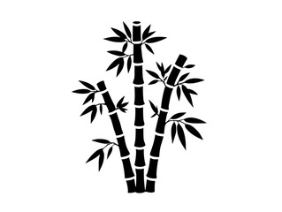 Naklejka premium bamboo vector illustration