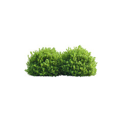 Realistic green bushes isolated on white background
