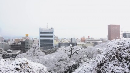 和歌山市 冬景色(2017年１月24日)　Wakayama City in Winter – Captured on January 24, 2017