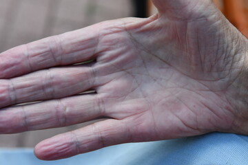 Fototapeta premium old woman hands