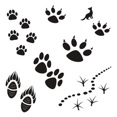 Fototapeta premium Wildlife Footprint Icon Silhouettes – Flat Black Vector Set of Animal Tracks and Footprints 