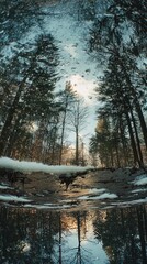 Fisheye view of winter forest reflected in a still pond