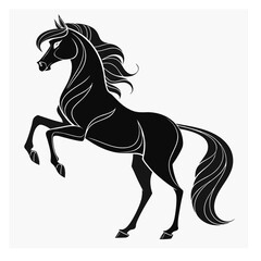 Elegant Black Horse standing Pose