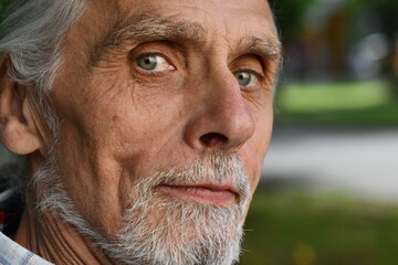 portrait of a senior man