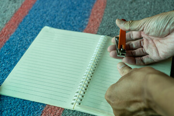 hand with a book