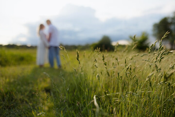Focus on Field Grass with Couple in Background