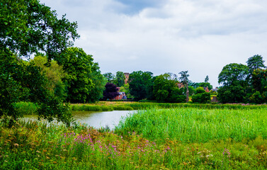 A field with a pond and trees in the background