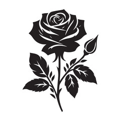 Black and White Rose Vector Illustration