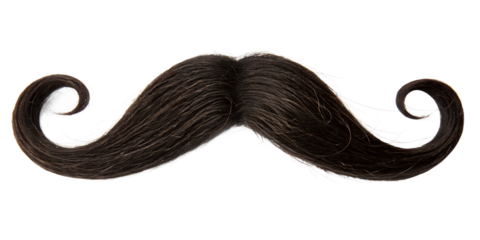 mustache on white background