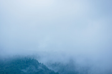 夏の山　朝霧に覆われた山の木々02