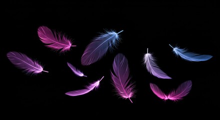 Obraz premium Ethereal elegance: A mesmerizing dance of neon feathers in dark symphony of gradient hues