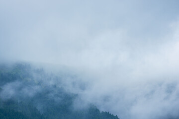 夏の山　朝霧に覆われた山の木々10