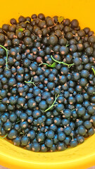 Freshly harvested blackcurrants in a bright yellow bucket, showcasing their rich color and natural...