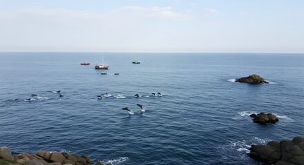 Dolphins leaping in ocean