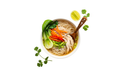 A bowl of Asian rice noodle soup filled with veggies and chicken. A top view flat lay on a white background.