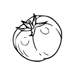 fresh tomato outline drawing