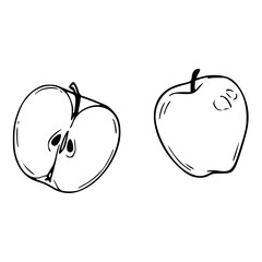 whole and halved apple outline drawing
