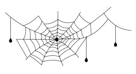 Spiderweb with raindrops