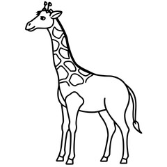 giraffe vector illustration