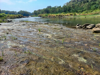 Scenic River Landscape with Rocky Shoreline and Lush Greenery Outdoors