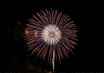 Photo of colorful firework exploding in the night sky during a celebration event
