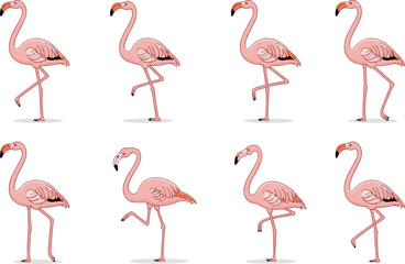 Fototapeta premium Cartoon flamingo bird collection in standing and walking poses, pink tropical animal vector illustration, isolated on white background, funny design