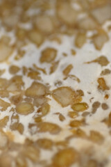 Macro texture of moist tempeh turn stinky and moist in the fridge