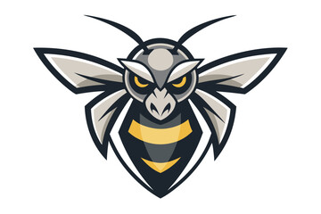 Furious yellow eyed hornet with gray wings faces forward aggressively on the white backdrop