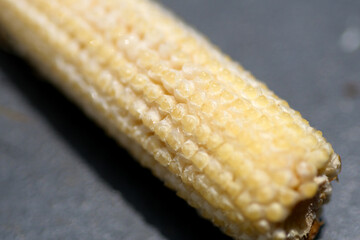 Macro shot of rotten baby corn kept in the fridge more than week