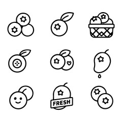 Collection of Line Art Fruit Icons Blueberries and Mango.