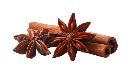 Cinnamon Sticks and Star Anise