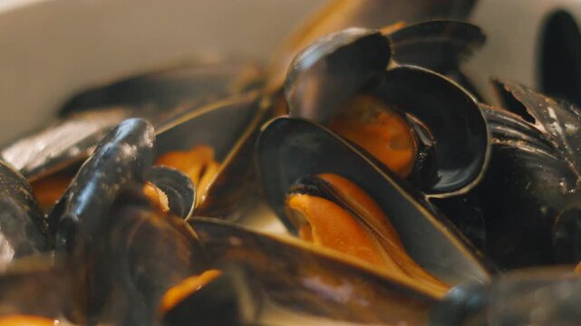 Cooked Hot Mussels Lying in Bowl with White Wine Sauce Ready to be Eaten. Delicious Seafood Mollusk Shellfish Meal.