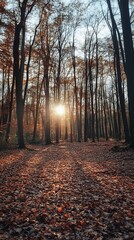 Obraz premium Autumn sunbeams through a forest path