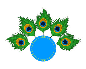 Vector illustration of Peacock feather pattern on transparent background