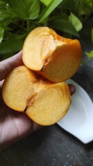 persimmon in a hand 