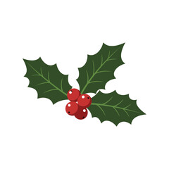 Christmas holly berry sprig vector illustration festive holiday plant winter season decoration © alien AZ