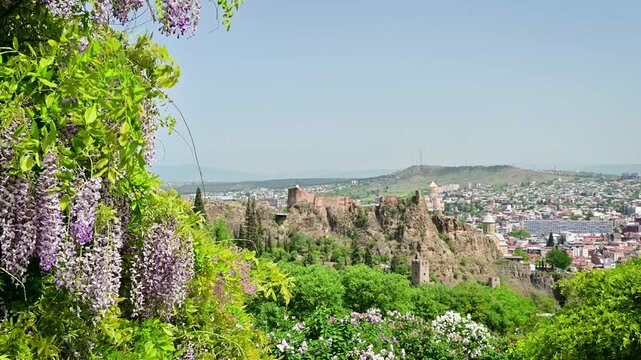 Video of Narikala Fortress seen from the botanical garden in Tbilisi, Georgia