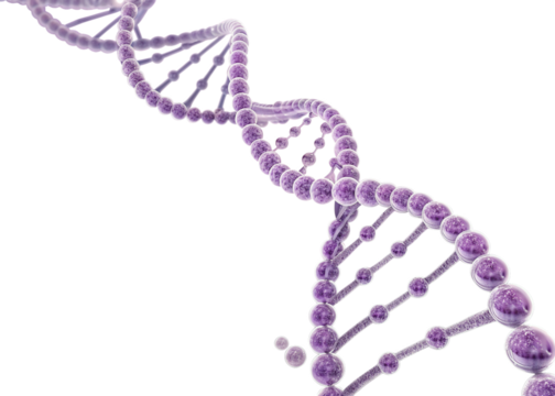dna strand on white background