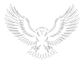 Obraz premium Eagle Wings Spread Outline