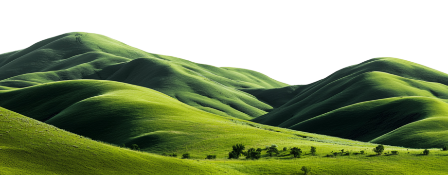 lush green rolling hills with a white background
