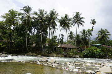 tropical beach with palm trees