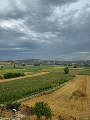 rural landscape with green field and blue sky